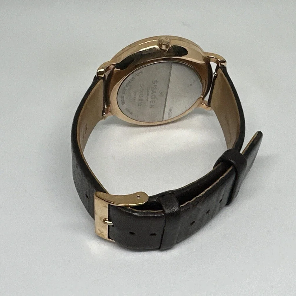 Skagen skw6313 men